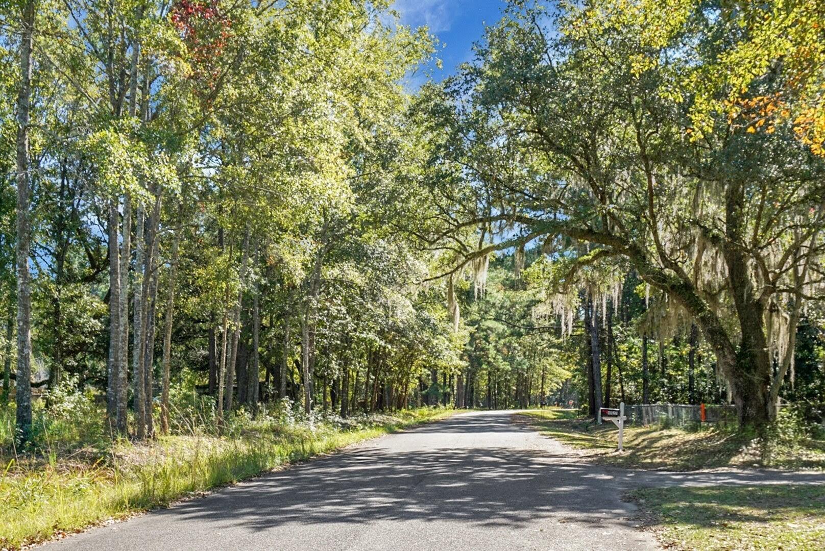 8527 Benjamin Simmons Road Hollywood, SC 29449 - Photo 32 of 33
