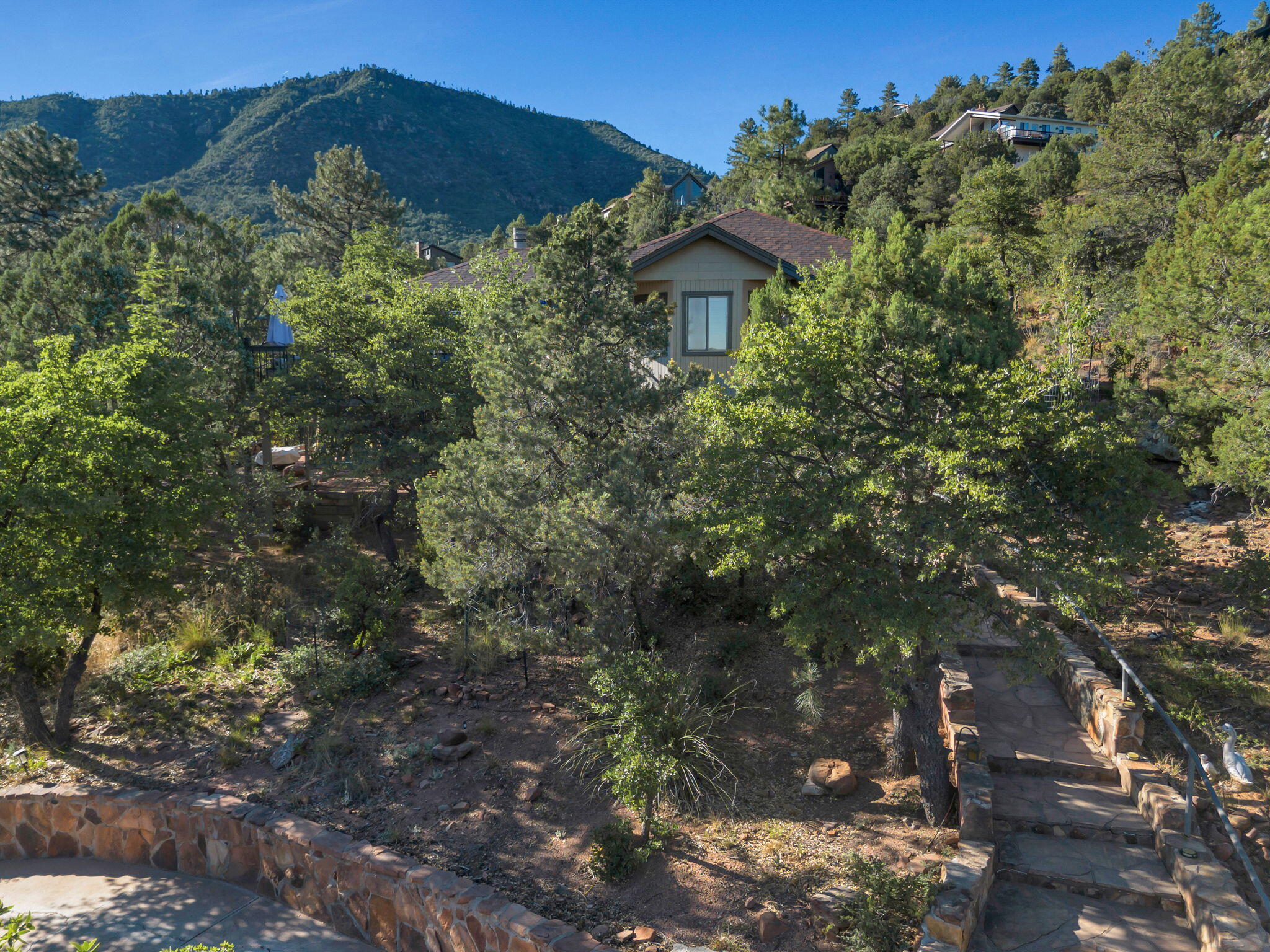 6227 Pinon Loop Pine, AZ 85544 - Photo 54 of 62