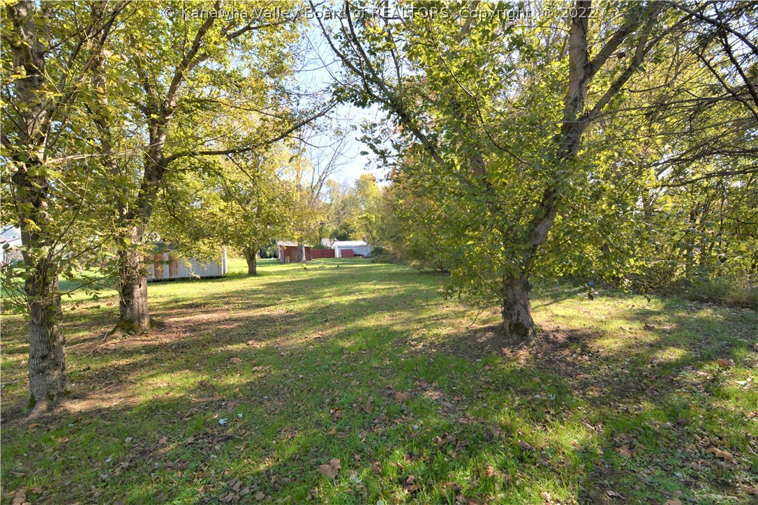 0 Lock 9 Road Buffalo, WV 25033 - Photo 6 of 9 Gallery Image 6