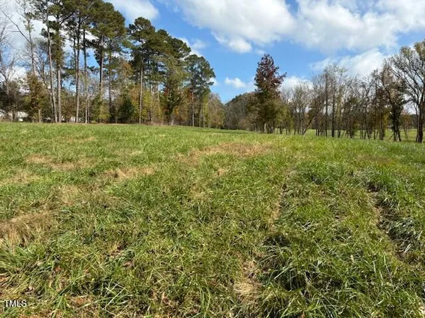 a view of a field with trees