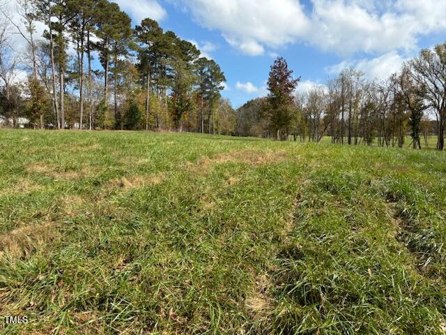 401 Buck Gunter Road Siler City, NC 27344 - Photo 11 of 13 a view of a field with trees