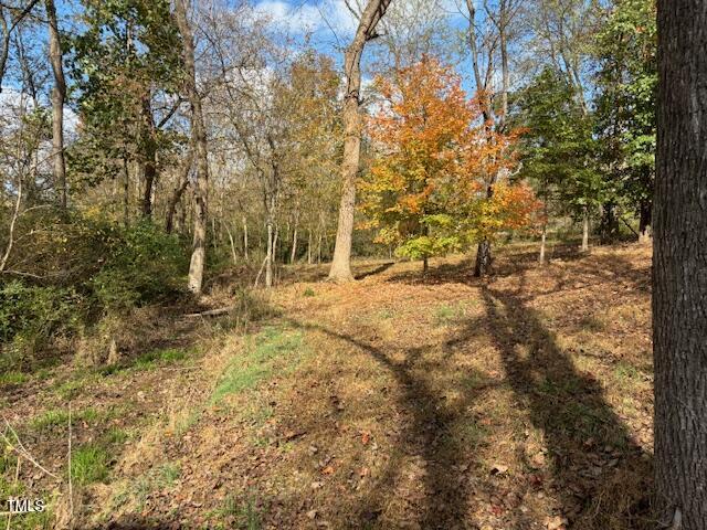 401 Buck Gunter Road Siler City, NC 27344 - Photo 12 of 13 a view of yard