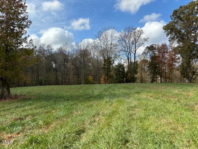 401 Buck Gunter Road Siler City, NC 27344 - Photo 13 of 13 a view of a yard