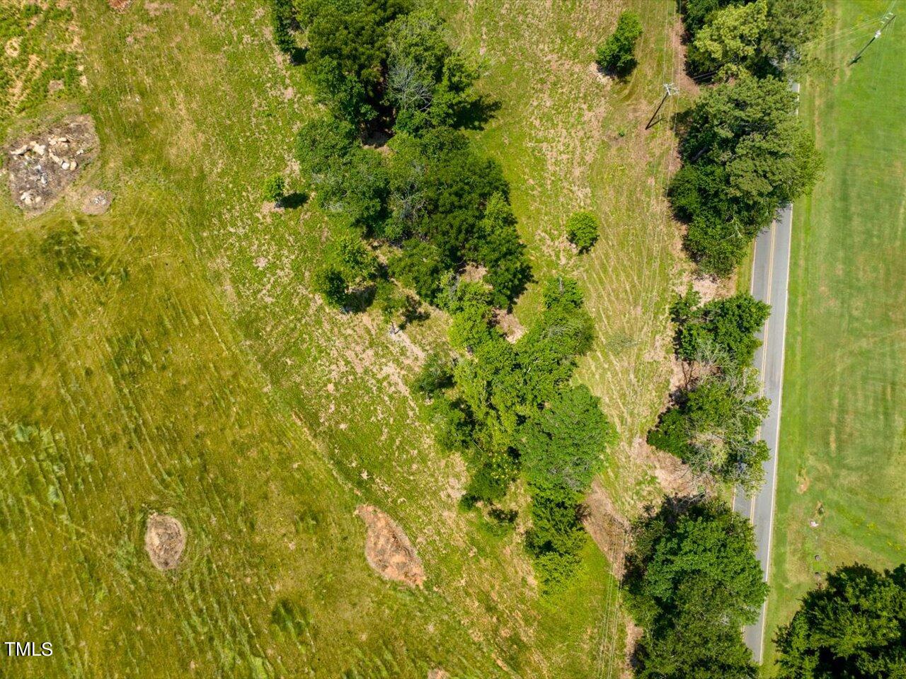 401 Buck Gunter Road Siler City, NC 27344 - Photo 2 of 13 a view of a big yard with plants and large trees