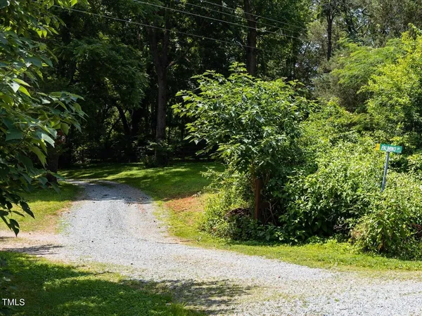 a view of a yard with plants