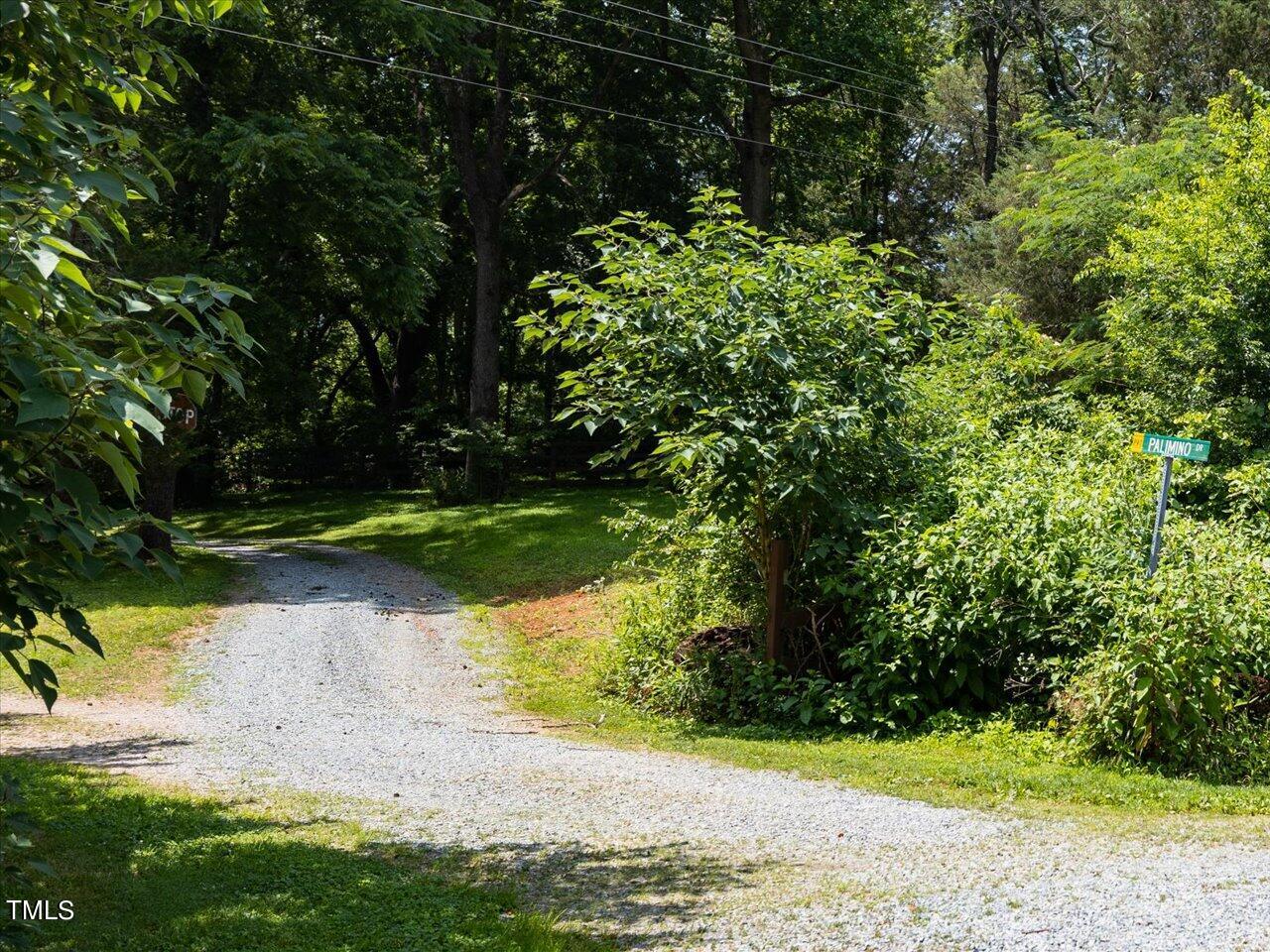 401 Buck Gunter Road Siler City, NC 27344 - Photo 8 of 13 a view of a yard with plants