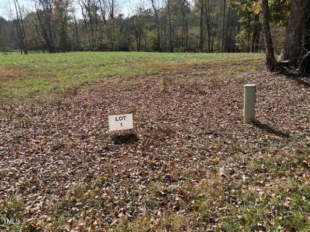 401 Buck Gunter Road Siler City, NC 27344 - Photo 9 of 13 a big yard with lots of green space