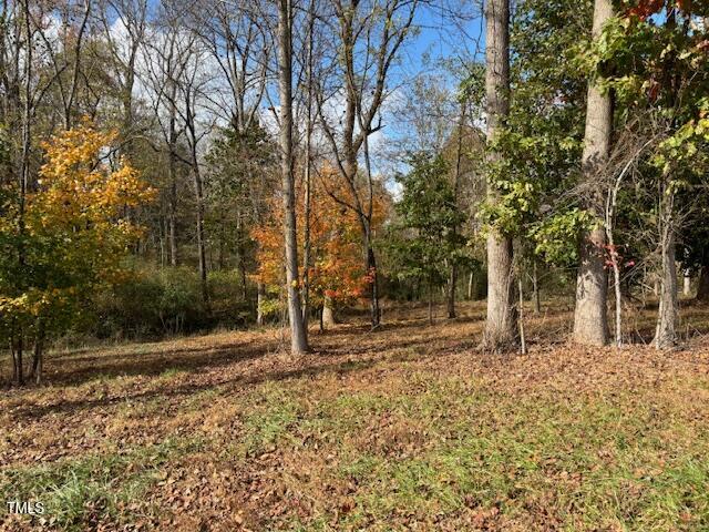 401 Buck Gunter Road Siler City, NC 27344 - Photo 10 of 13 a backyard of a house with lots of green space