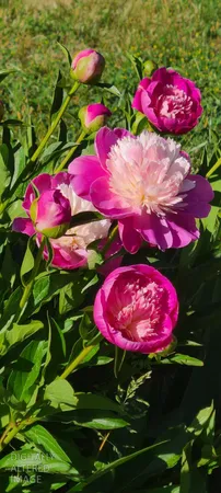 $880,000 | 1144 Boole Road, Applegate, CA 95703