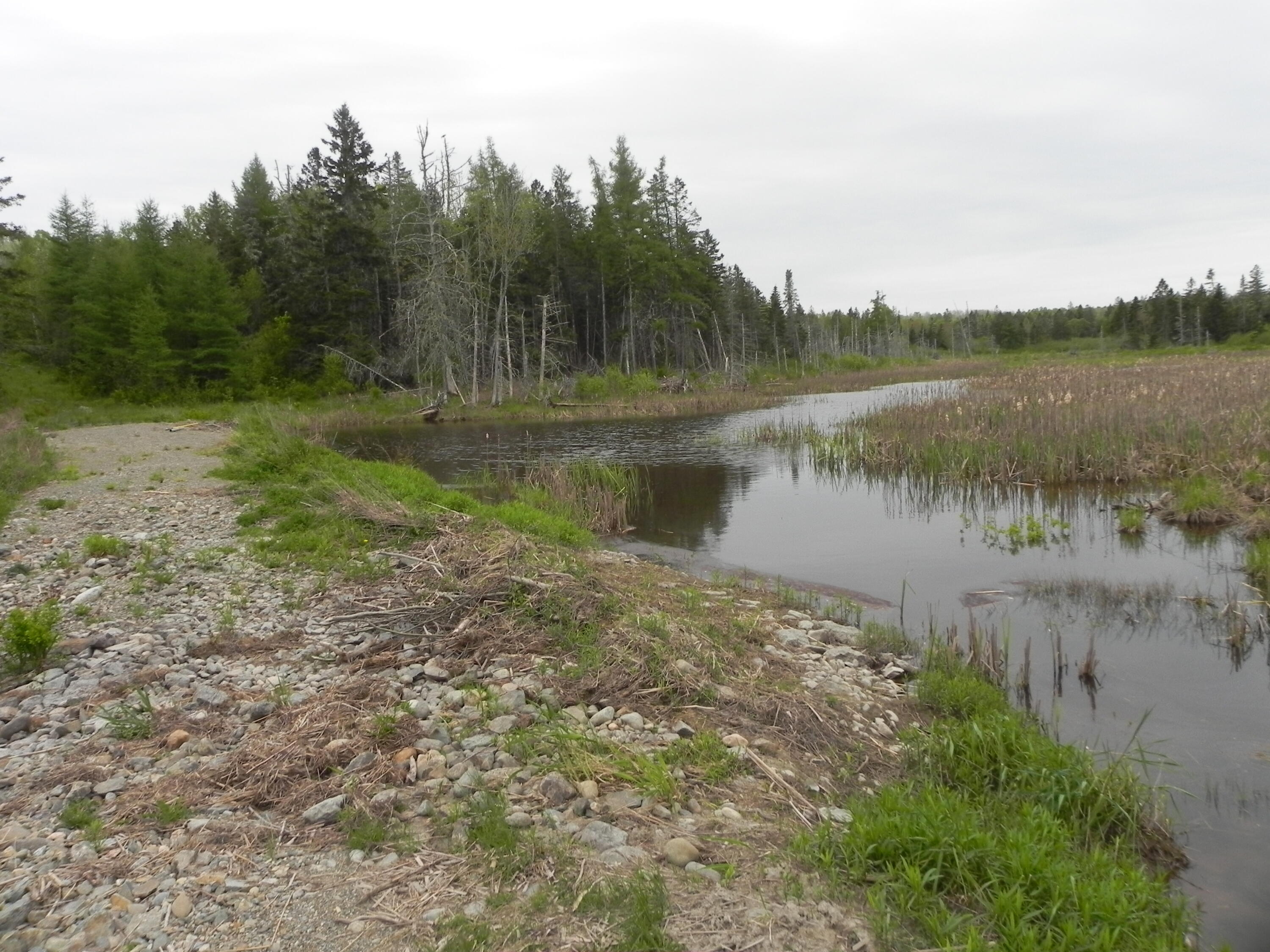 1096 County Road Lubec, ME 04652 - Photo 19 of 39 DSCN9712