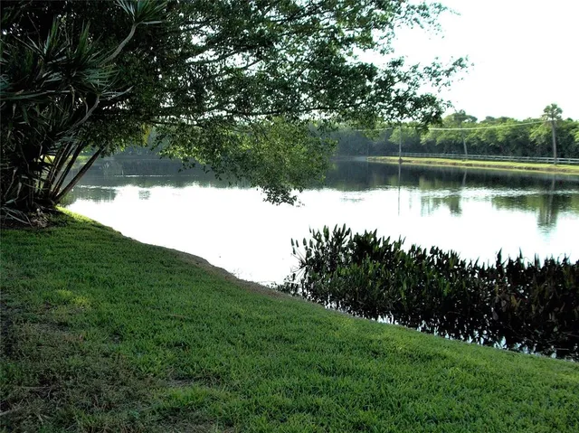 a view of a lake in middle of forest