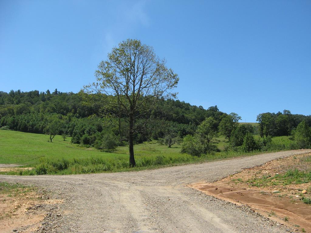 Tbd Blue Ridge Parkway, Unit 152 Fancy Gap, VA 24328 - Photo 13 of 39 Gallery Image 13
