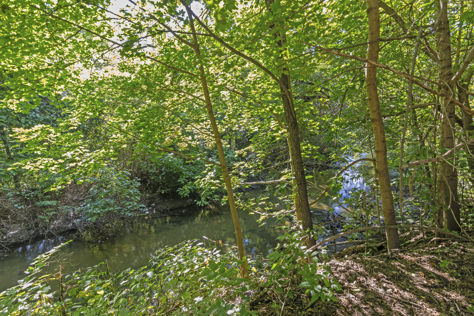 555 Old Mill Road Plano, IL 60545 - Photo 43 of 44 Gallery Image 43
