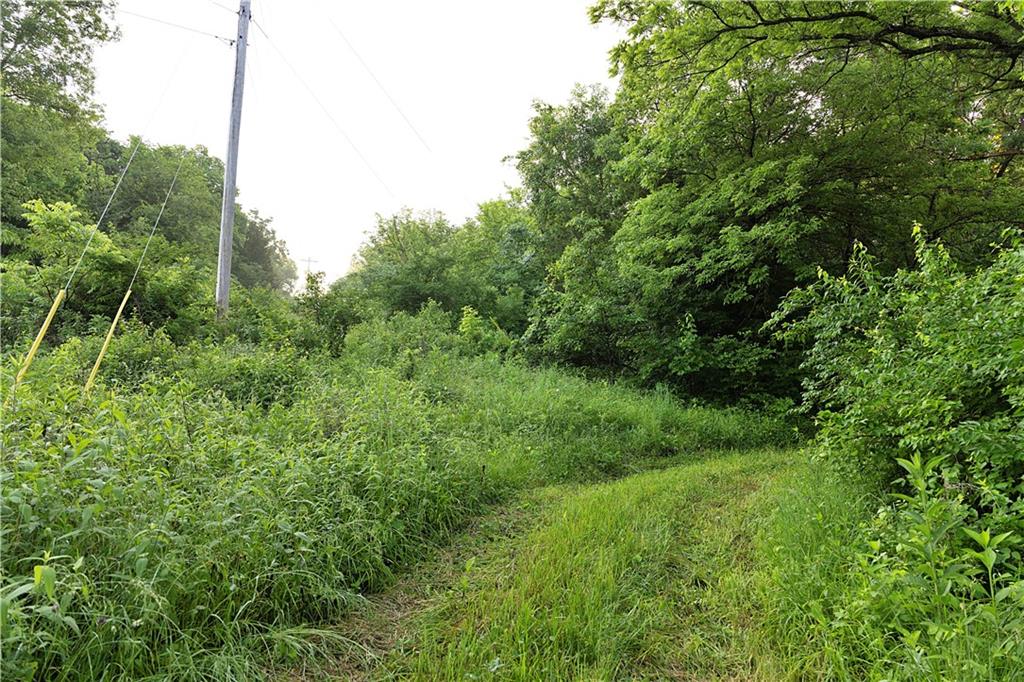 Wilderness Camp Road Lawson, MO 64062 - Photo 18 of 90