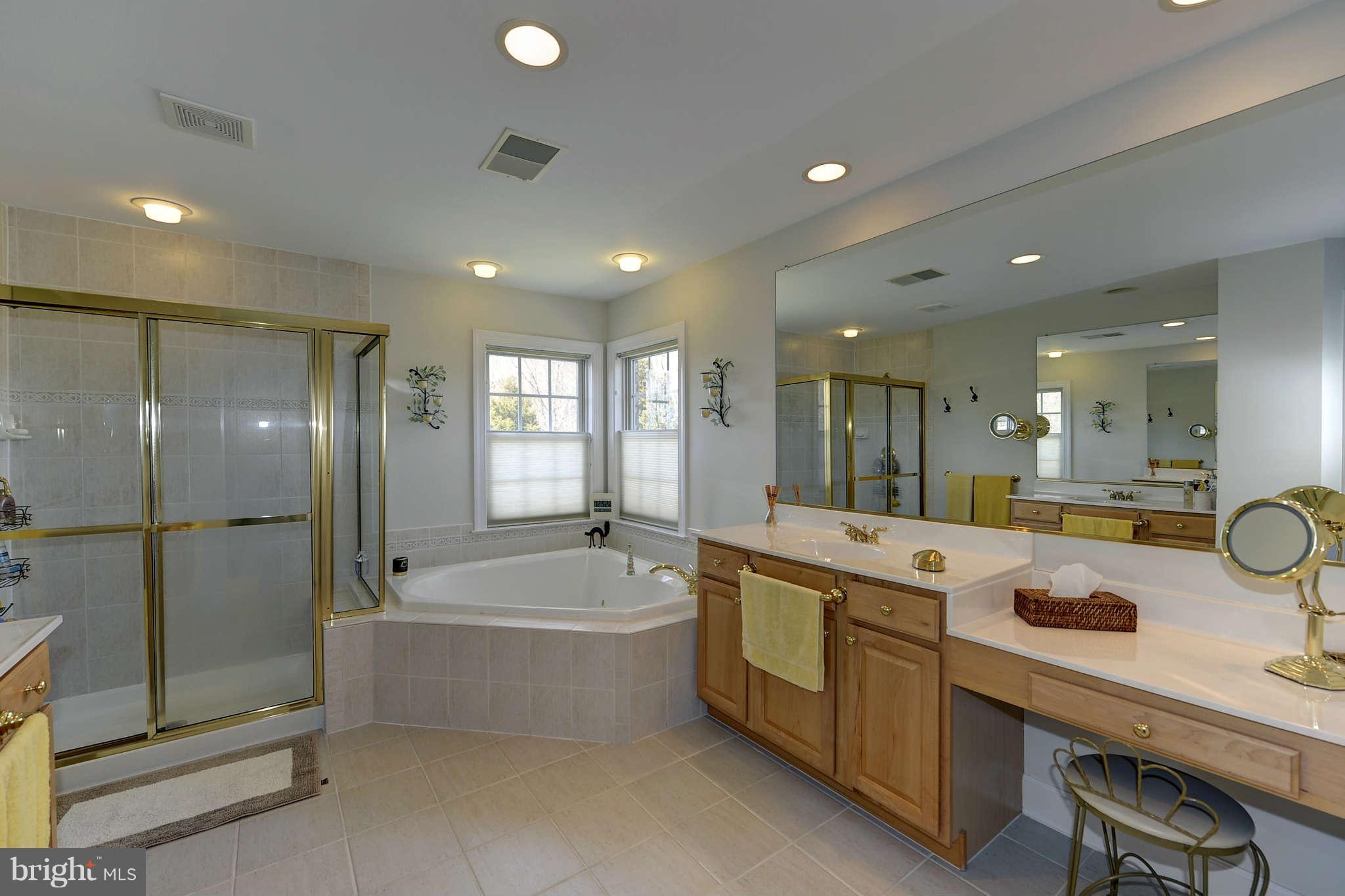 10404 Grey Fox Road Potomac, MD 20854 - Photo 17 of 30 a large bathroom with a tub a sink shower and mirror