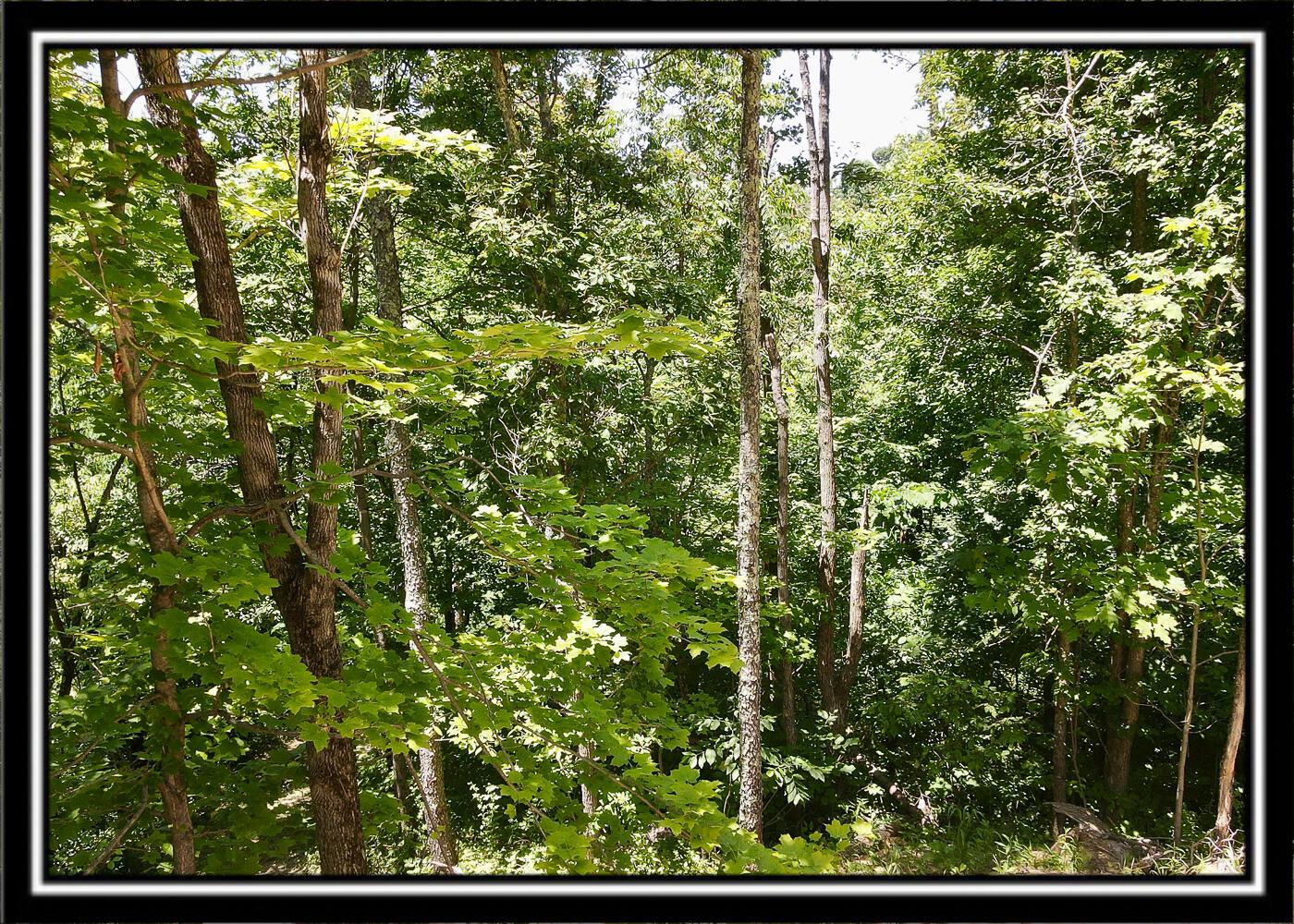 0 Hoop Pole Road, Unit TRACT 13 Roseville, OH 43777 - Photo 60 of 62 CT-42