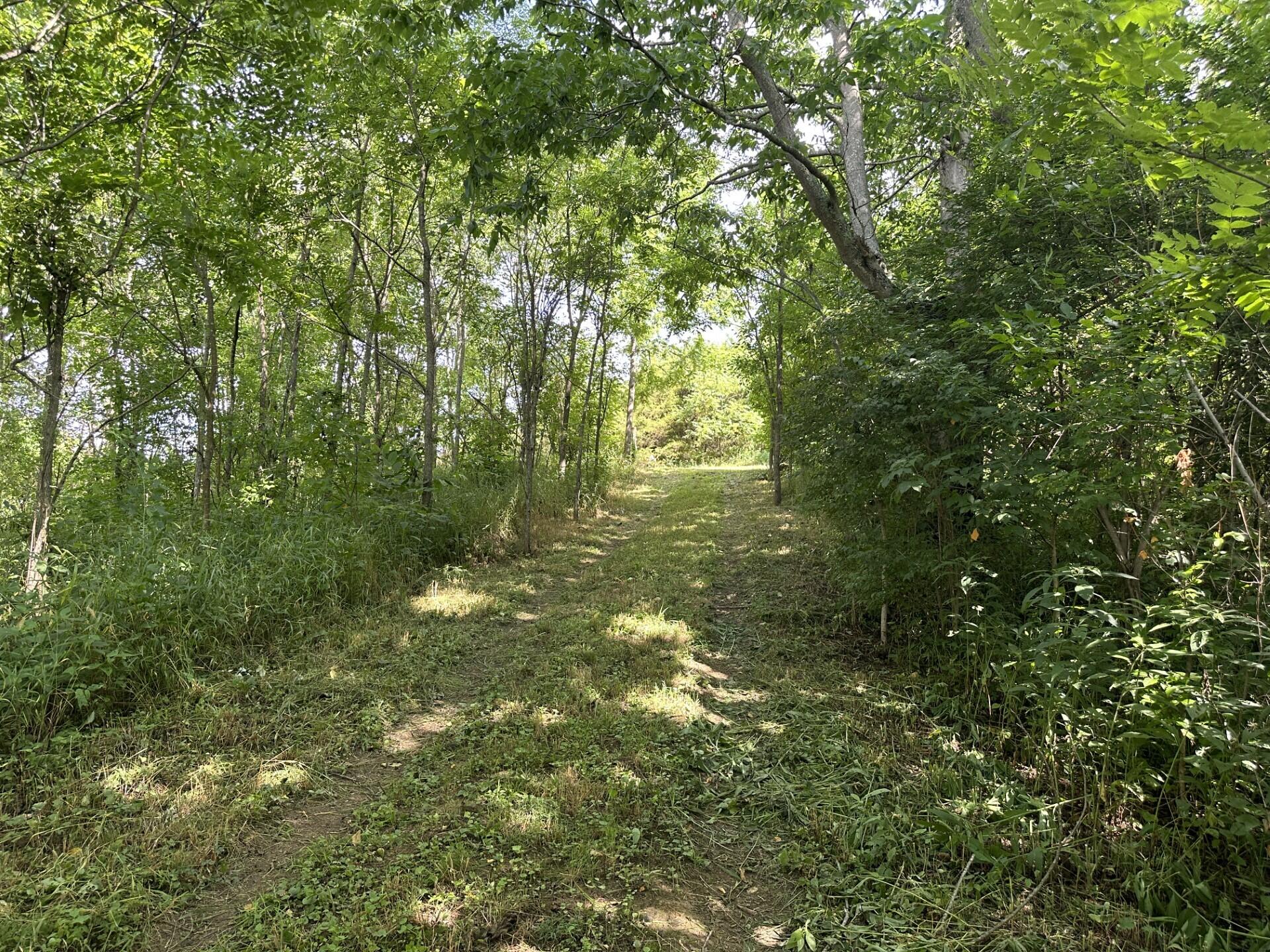 6150 Bridgeville Road Brooksville, KY 41004 - Photo 22 of 37 Gallery Image 22