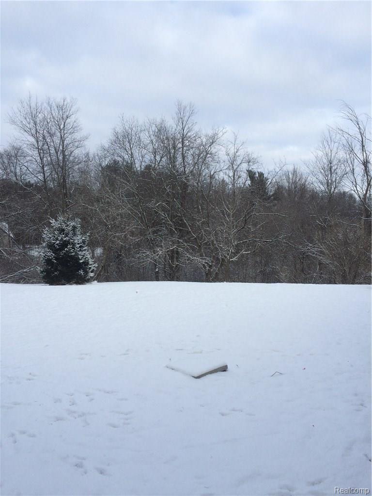 1035 Betts Road Leonard, MI 48367 - Photo 24 of 26 IMG_3314.JPG