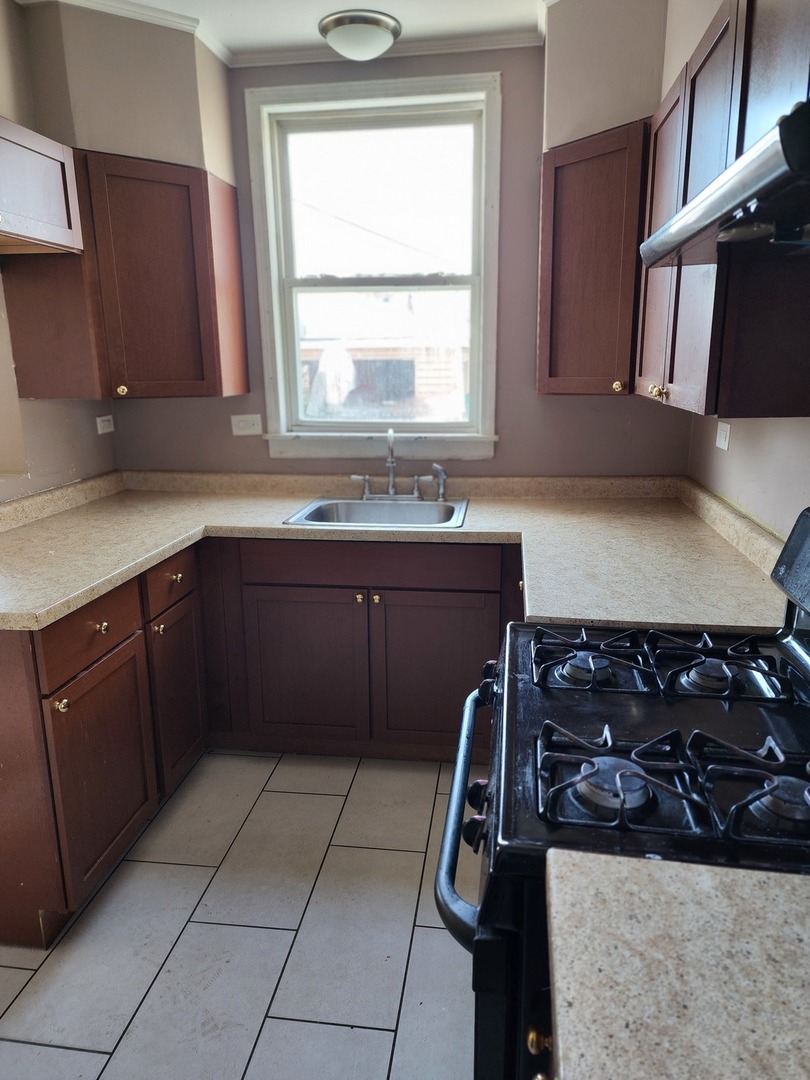 259 Walnut Avenue Elgin, IL 60123 - Photo 9 of 14