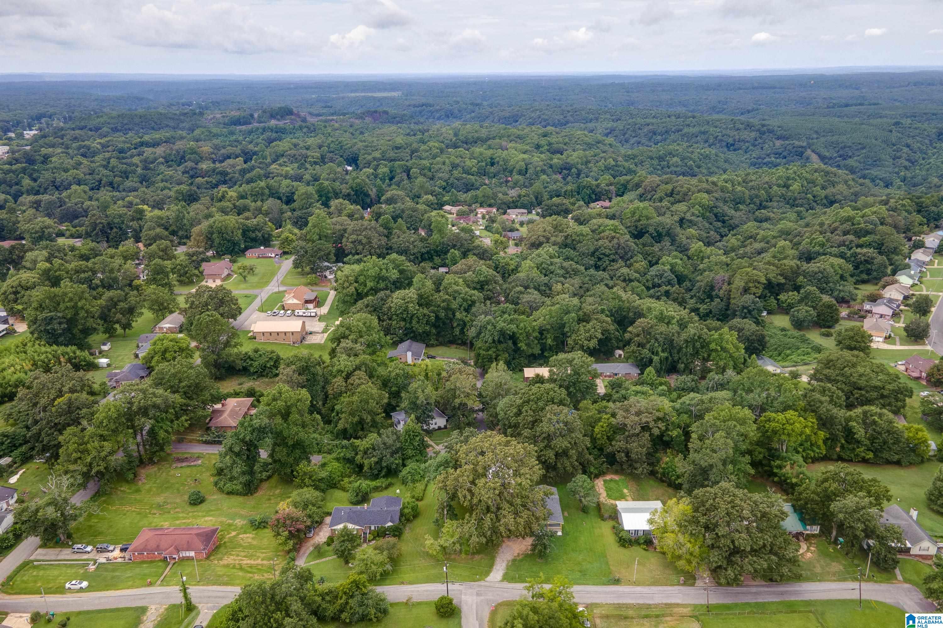 116 4th Avenue Pleasant Grove, AL 35127 - Photo 35 of 41