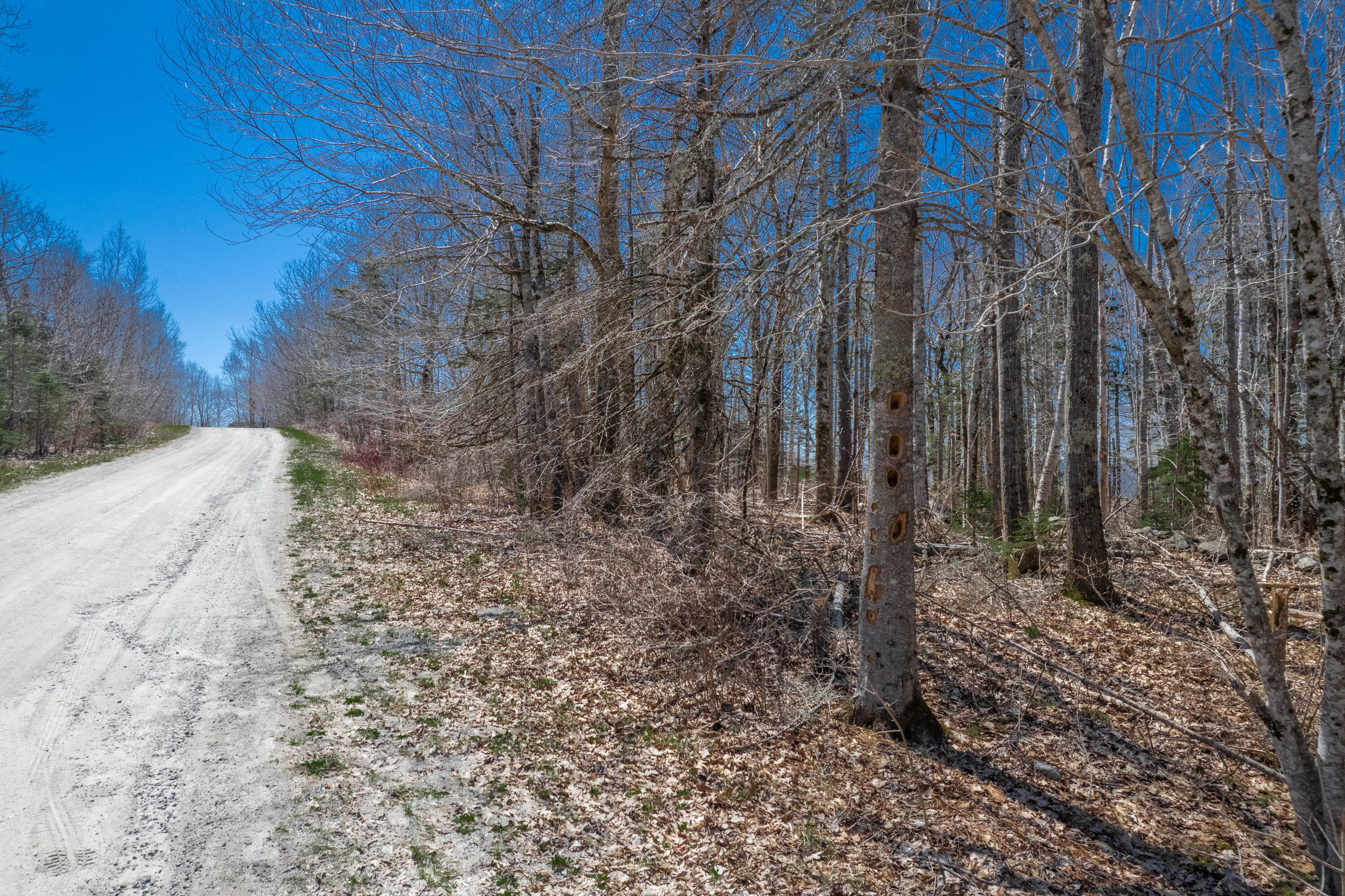 94 Dodge Mountain Road Rockland, ME 04841 - Photo 22 of 28 DJI_0518-HDR