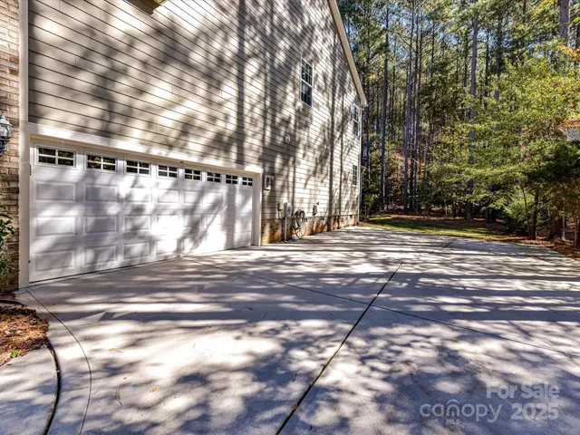 a view of backyard with tree