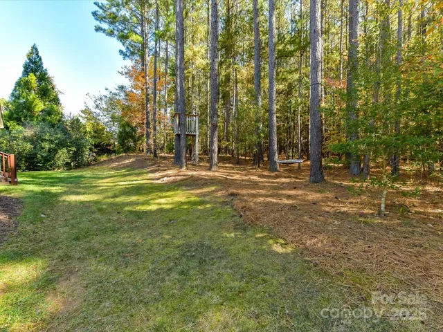 a view of outdoor space with trees all around