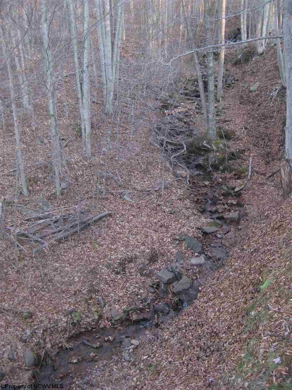 2233 Cabin Mountain Road Davis, WV 26260 - Photo 20 of 20 Gallery Image 20