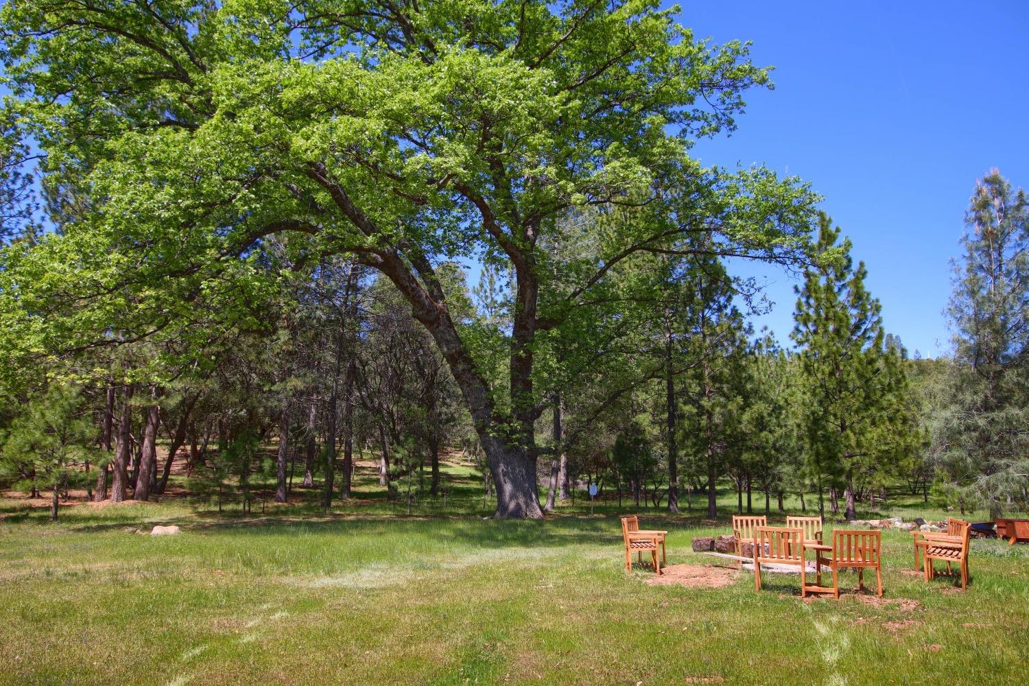 5762 Colorado Road, Unit 5780 Mariposa, CA 95338 - Photo 54 of 74 Gallery Image 54