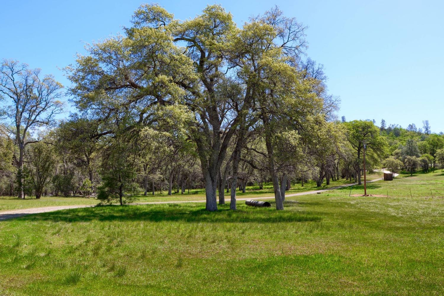 5762 Colorado Road, Unit 5780 Mariposa, CA 95338 - Photo 55 of 74 Gallery Image 55
