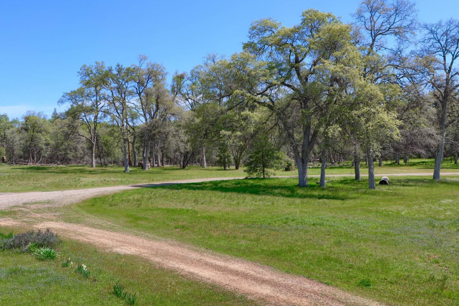 5762 Colorado Road, Unit 5780 Mariposa, CA 95338 - Photo 57 of 74 Gallery Image 57