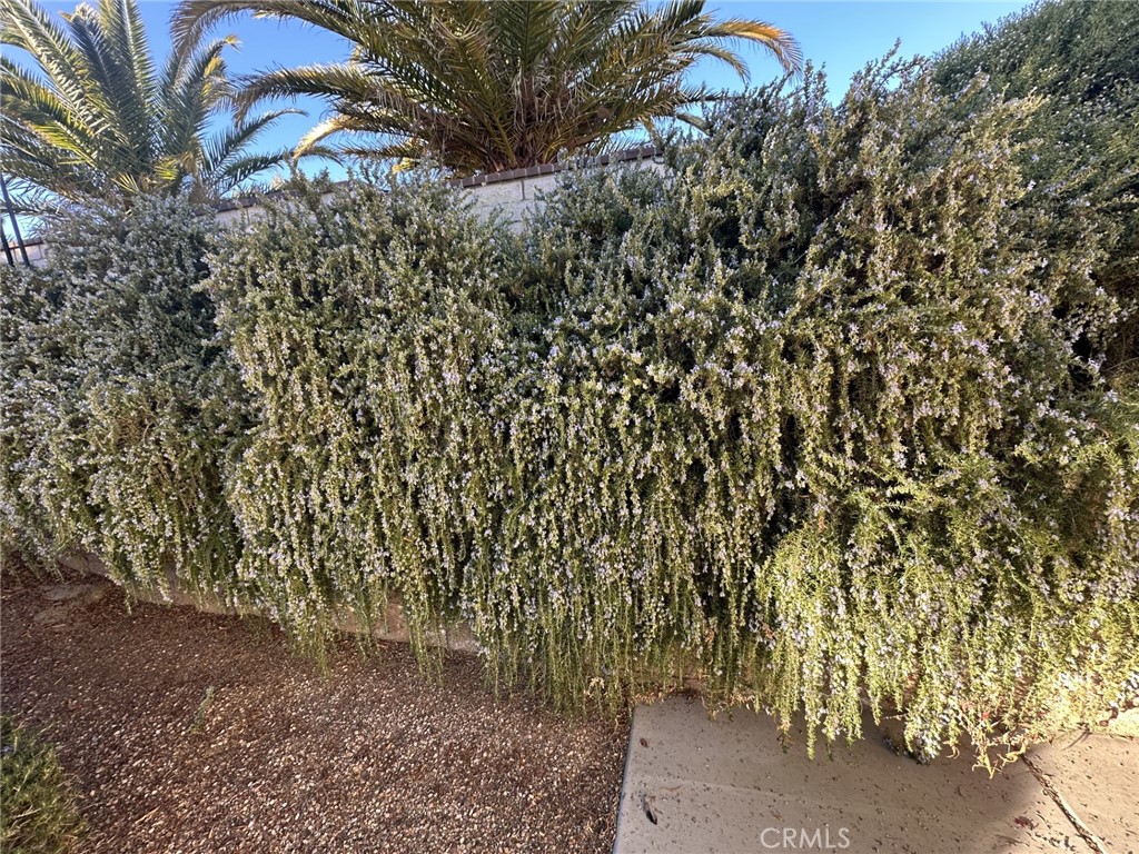 16232 Ridge View Drive Apple Valley, CA 92307 - Photo 57 of 66