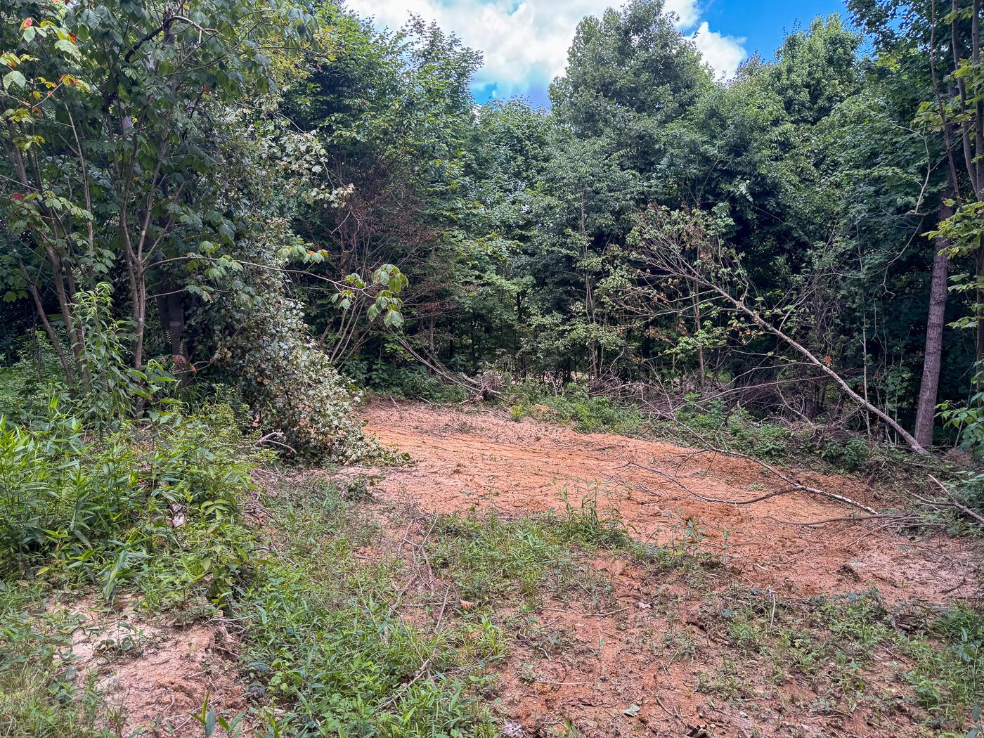 4313 Flint Ridge Road Northeast, Unit INT RIDGE TRACT 18 ACRE) Crooksville, OH 43731 - Photo 34 of 53 CT-34