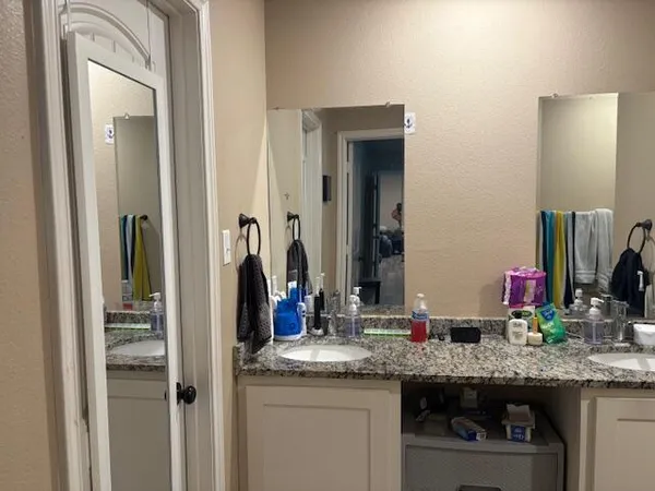 a living room with furniture potted plant and a window