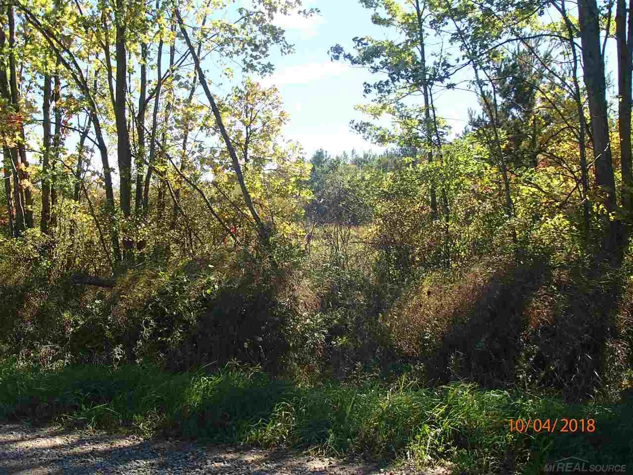 Townhall Road Melvin, MI 48454 - Photo 1 of 6