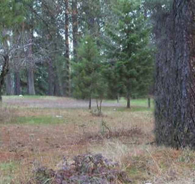28302 North Piney Ridge Road, Unit LOT 0421 Chattaroy, WA 99003 - Photo 1 of 1 Gallery Image 1