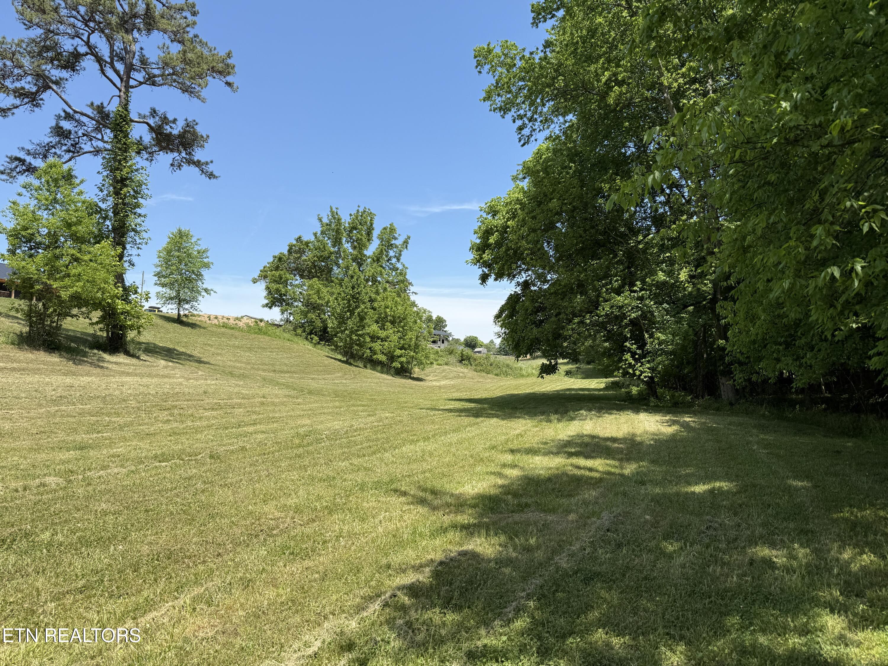Richland Road Blaine, TN 37709 - Photo 2 of 25 IMG_5446