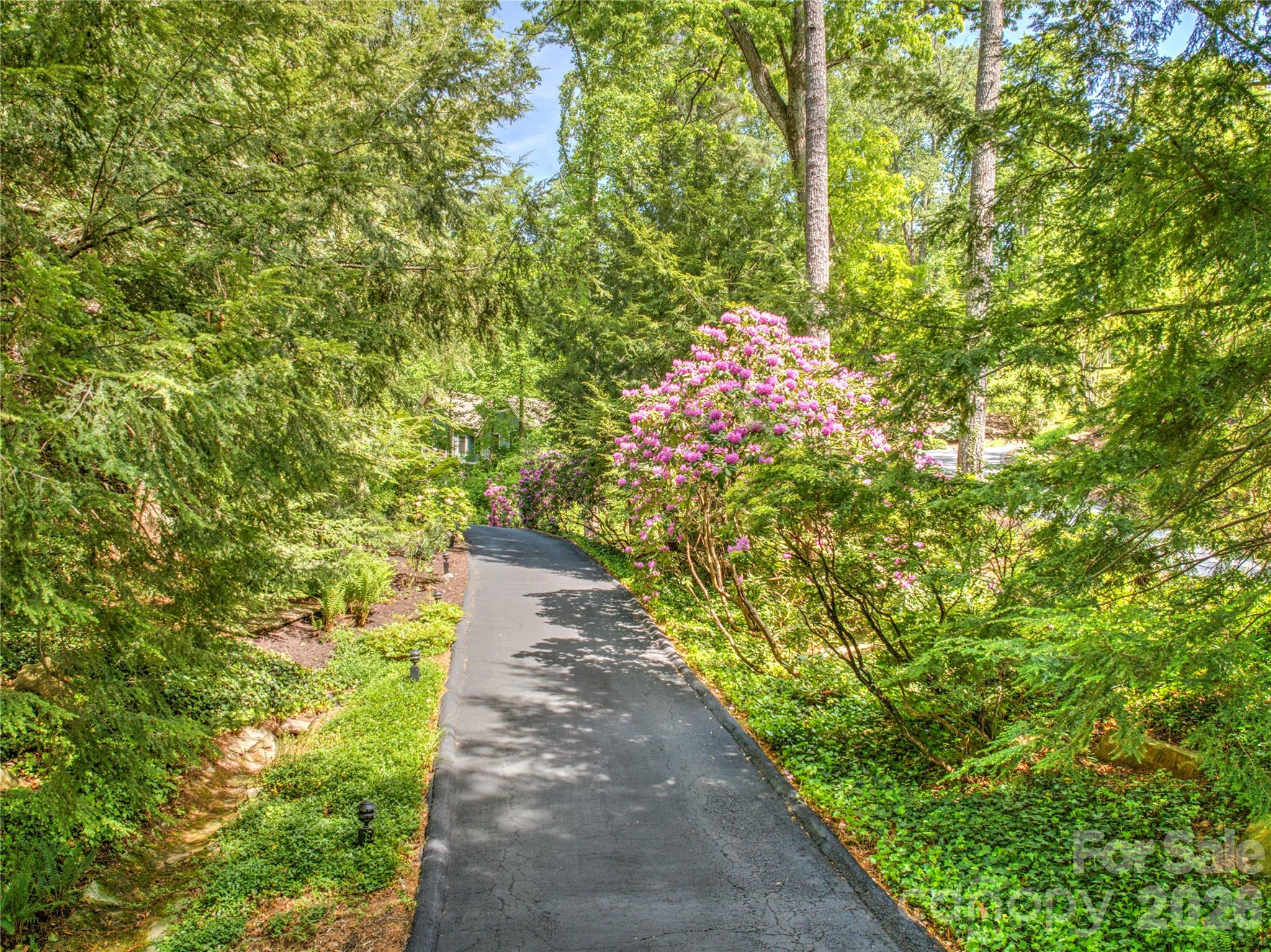 200 Robinhood Road Asheville, NC 28804 - Photo 48 of 48