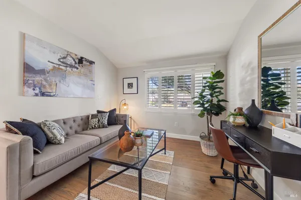 a living room with furniture and a potted plant