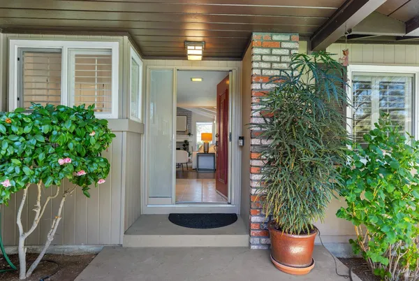 a potted plant sitting in front of a house