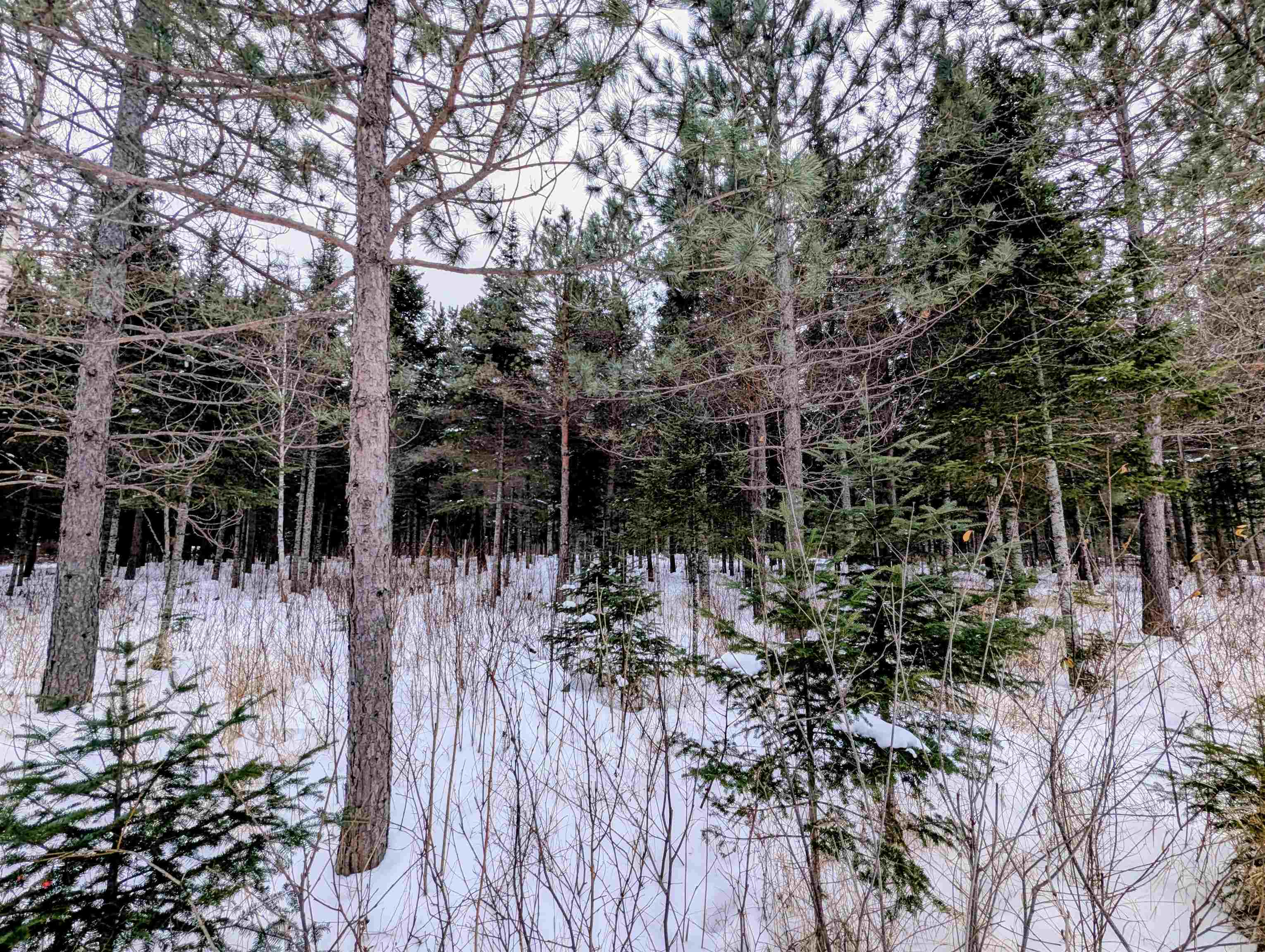 41-xx Turner Road Duluth, MN 55803 - Photo 15 of 15