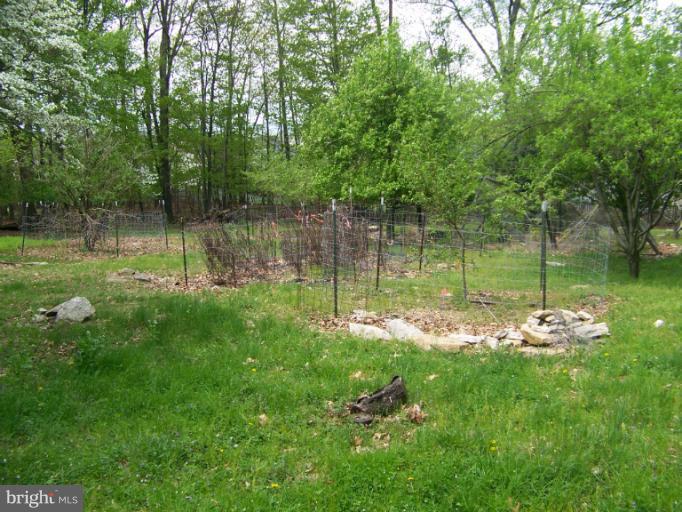 6340 Quinn Road Frederick, MD 21701 - Photo 16 of 30 Exterior (Orchard)
