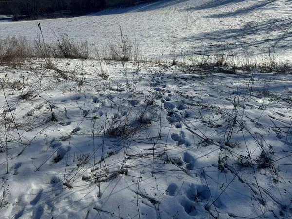 $749,000 | Hillcrest Drive, Plymouth, WI 53073