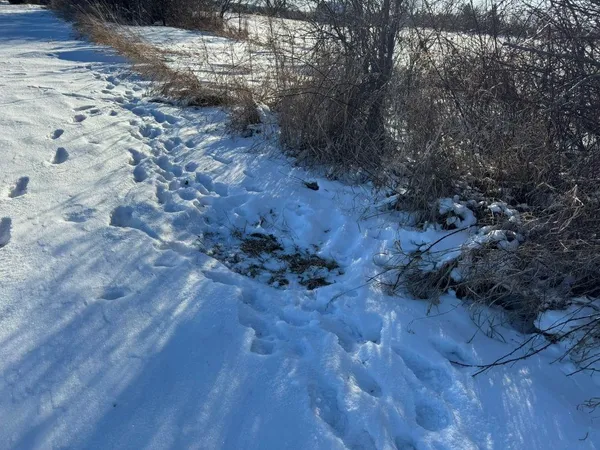 $749,000 | Hillcrest Drive, Plymouth, WI 53073