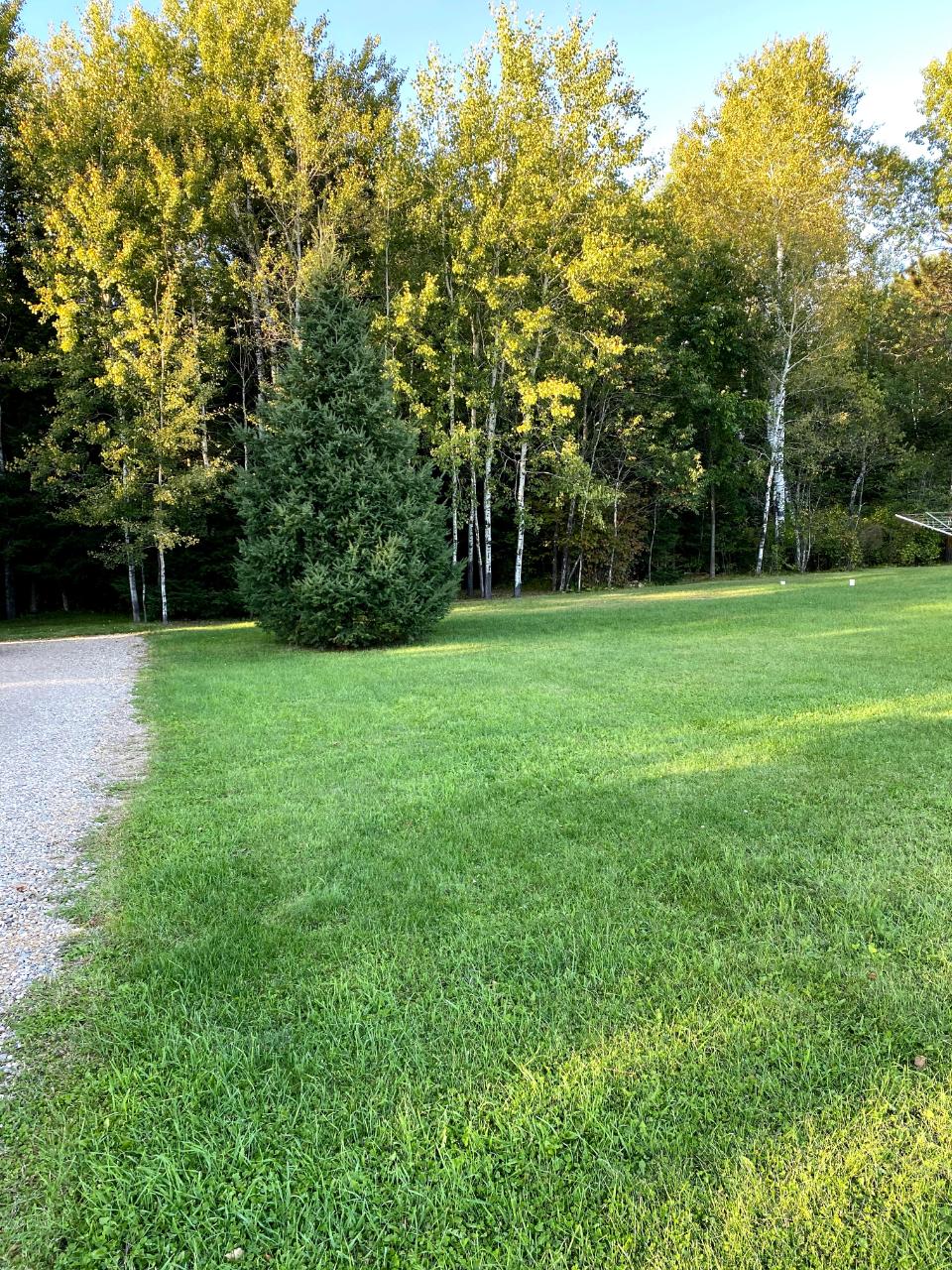 3982 Rasmusson Road Rhinelander, WI 54501 - Photo 4 of 25 Gallery Image 4
