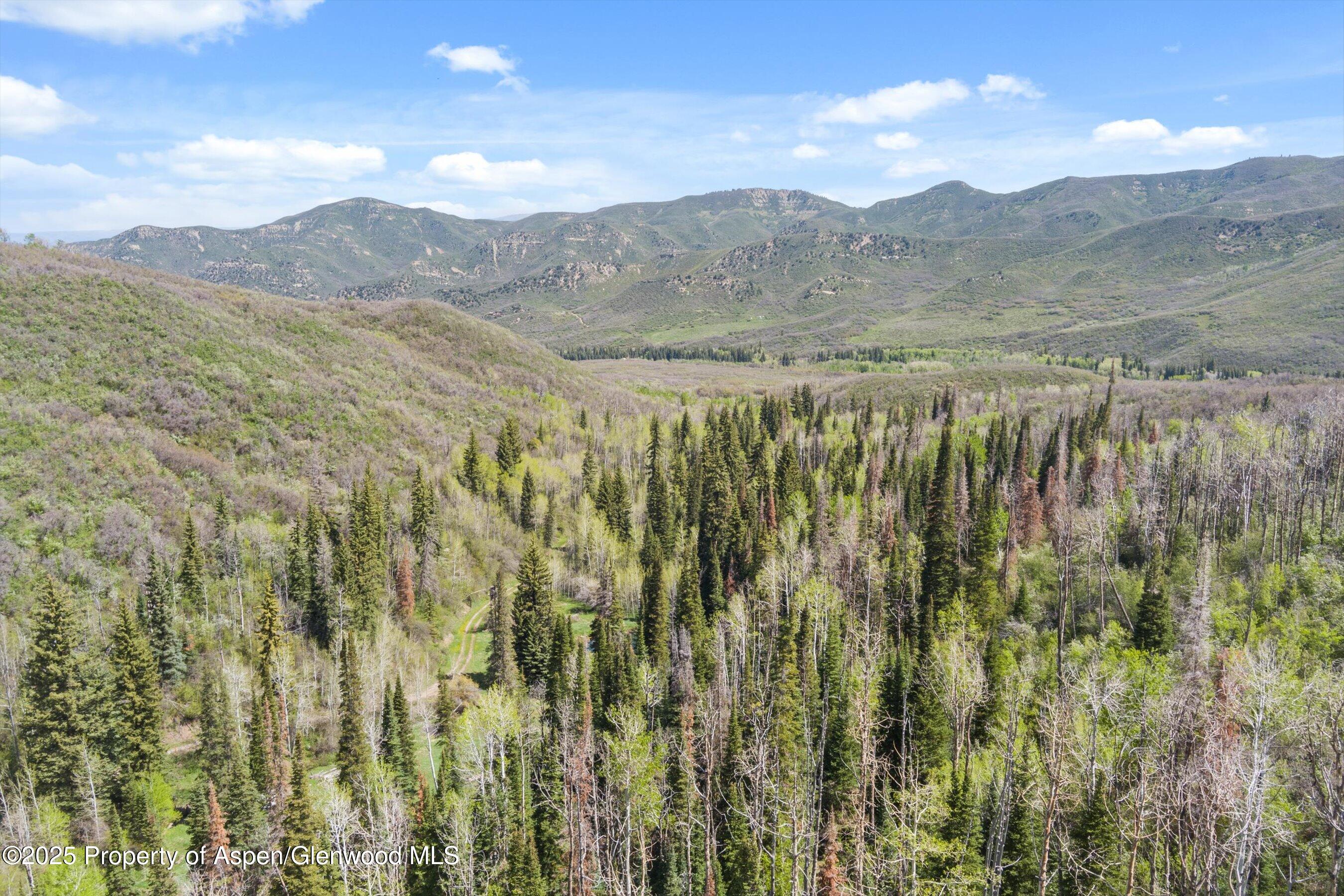 0 East Divide Creek Road New Castle, CO 81647 - Photo 42 of 45 29-0EDivideCreekRd_25052232