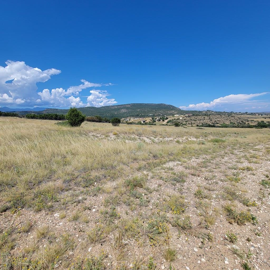 688 Geronimo Road Rye, CO 81069 - Photo 4 of 15