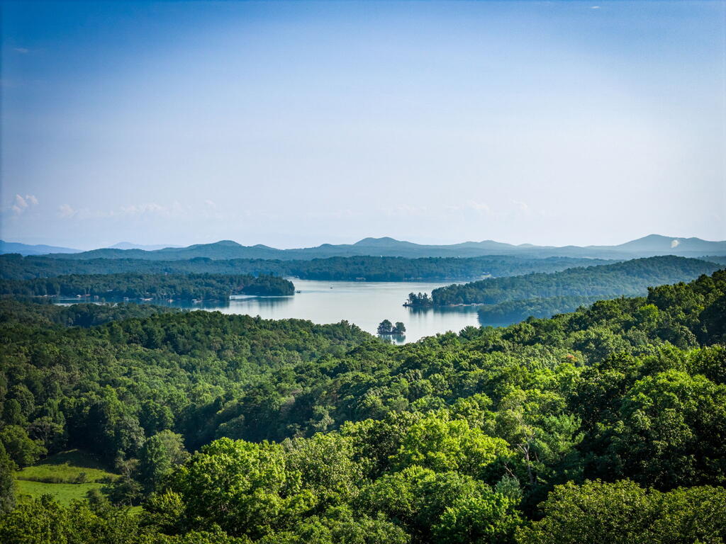 191 Green Ridge Road Blue Ridge, GA 30513 - Photo 13 of 91 Gallery Image 13