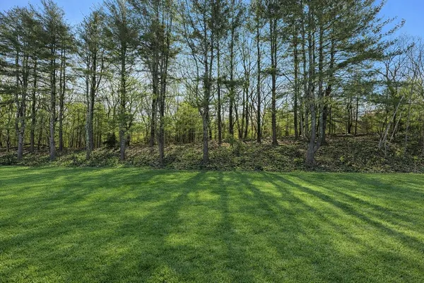 a view of outdoor space and green space