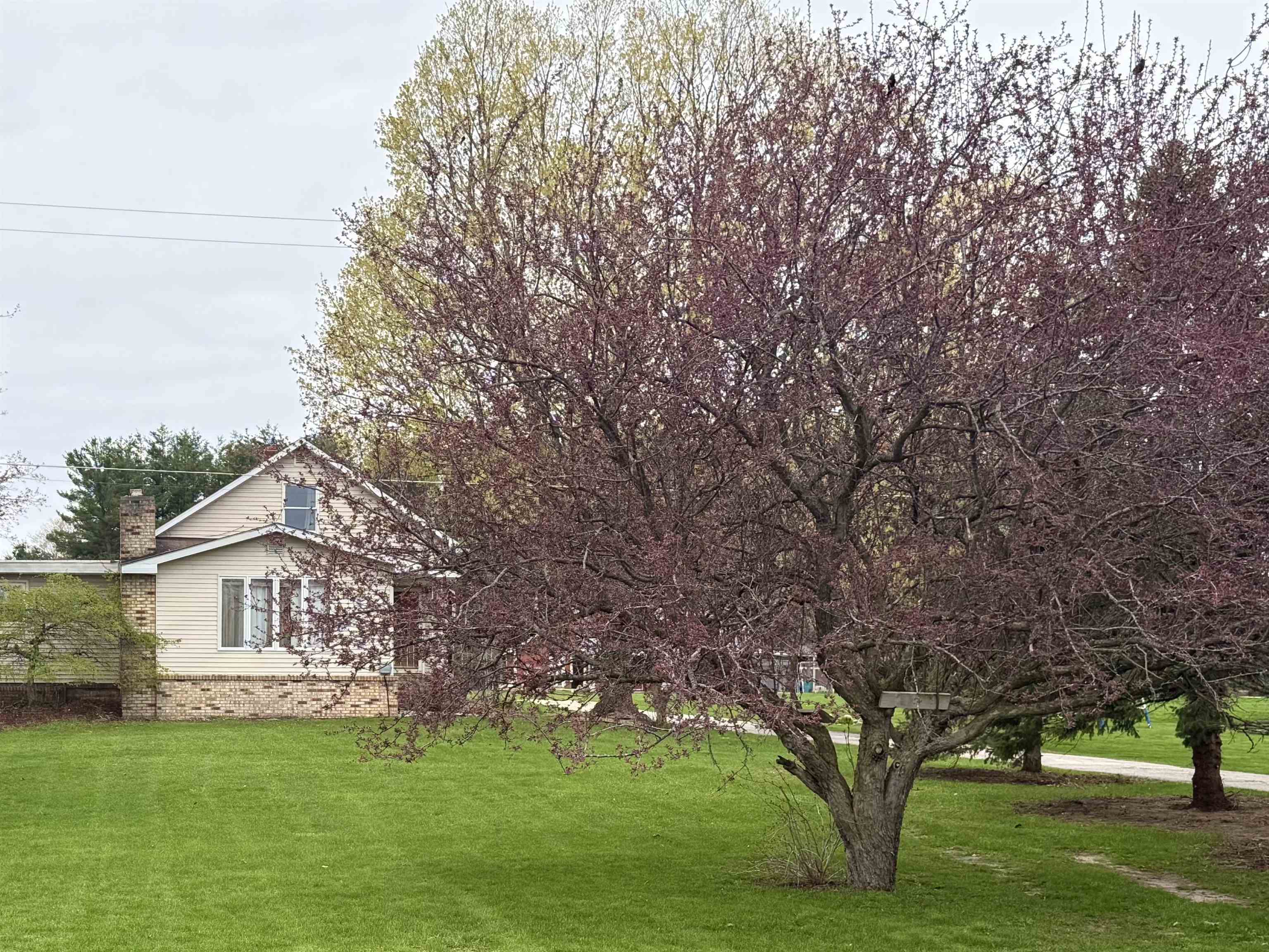 5322 South La Chance Road Lake City, MI 49651 - Photo 2 of 81 1944495-df4a2cc1-a02d-47d7-91f9-0033a2c86cdc.JPG